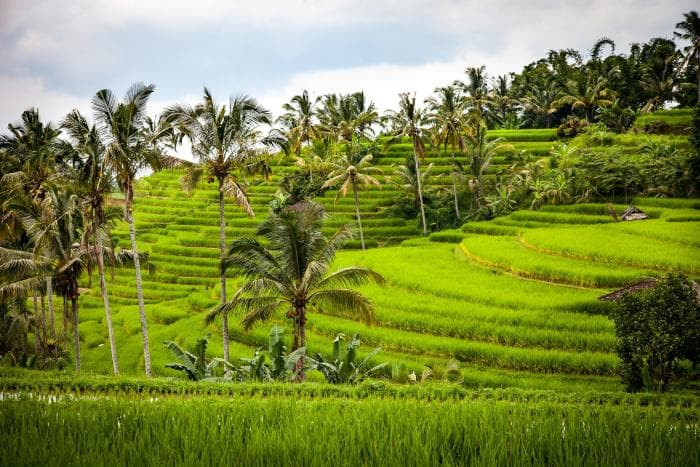 Bali kehtestab 9 euro suuruse turismimaksu