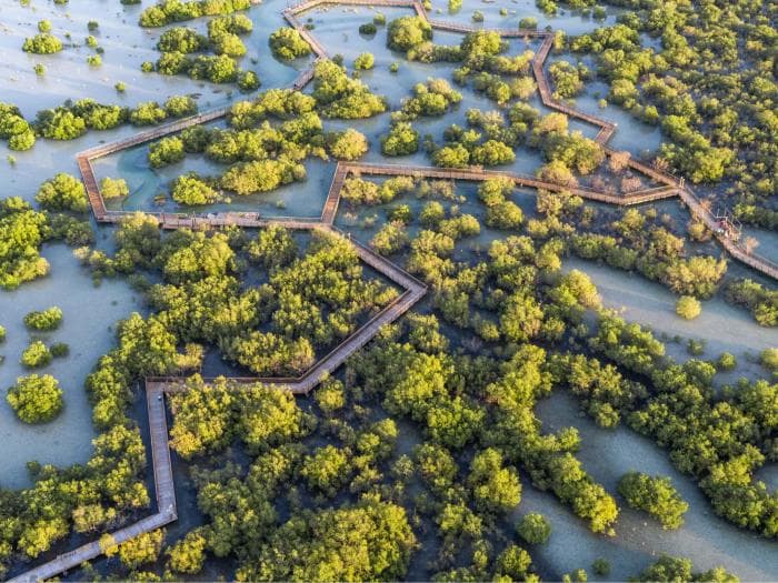 Abu Dhabi värske vaatamisväärsus – Jubaili mangroovipark