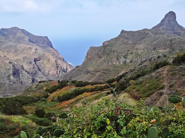 Reisiidee Tenerifel – Anaga kaitseala
