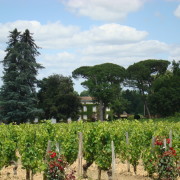 Chateau Rouget' viinaaed Pomerolis