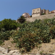 Calvi kindlus