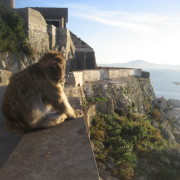 Gibraltar 12.2009