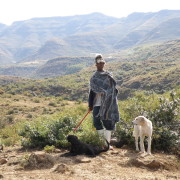 Lesotho karjus koos oma koertega, Malealea, Lesotho