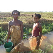 Madagaskaril annab ka riisipõllu äärsest kraavist kala püüda...