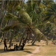 Kerala 2009
