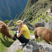 Alpakadega. Machu Picchu, Peruu, aprill 2011