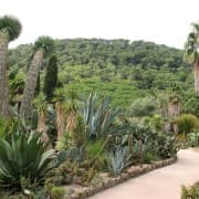 Pinya de Rosa kaktustepark Lloret de Maris