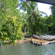 Sri Lanka, kaneelisaar Unawatuna lähedal