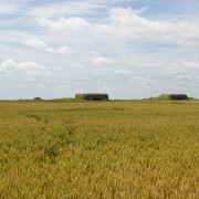  Longues-sur-Mer rannakaitsepatarei