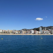 vaade merelt - Lloret de Mar