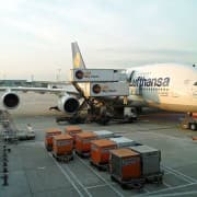 Airbus A380-800  Frankfurt - Singapore
