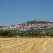 Assisi