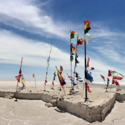 Dakari rallist on sinna jäänud ka Eesti trikoloor