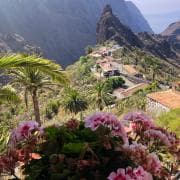 Masca piraadiküla - Tenerife