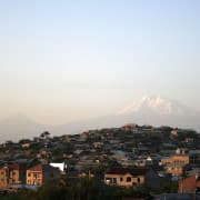 Ararat koidikul