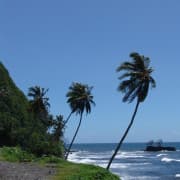Tahiti idarannik