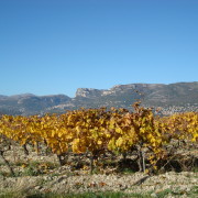 Bellet' viinamarjaterrassid ja mäeahelik teispool Var'i orgu.