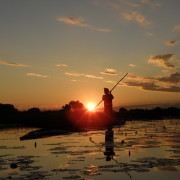 Päikeseloojang Okavango Deltas Botswanas
