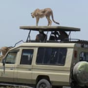 A trip in Serengeti National park