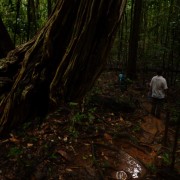 Iwokrama vihmametsas makushi giidiga