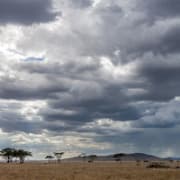 serengeti National Park